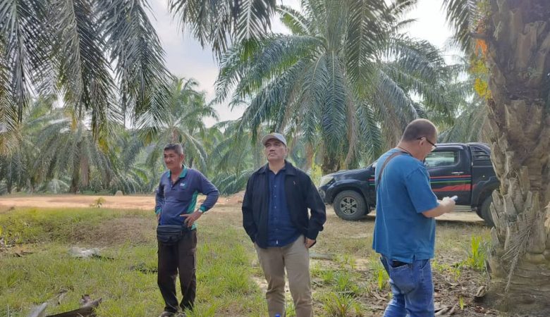 PROGRAM MENCUBA PLOT BAJA EMJ BIOTECH DI LADANG LAYANG-LAYANG PERAK