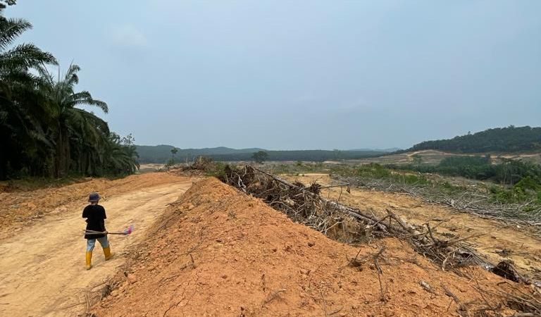 KERJA PENGELUARAN KAYU GETAH DAN KERJA PERTANIAN AM PROJEK TUANG KAJANG FELCRA BERHAD SEKIJANG SEGAMAT JOHOR