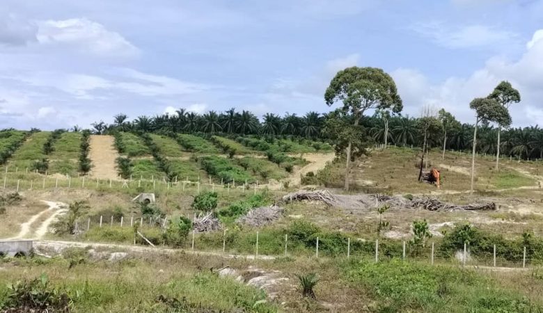 PENGHANTARAN B.O.B KE FELCRA KAWASAN KLEDANG SAYONG DAN LAWATAN BERSAMA PK DAN PL KE FELCRA JERUAI B PERAK